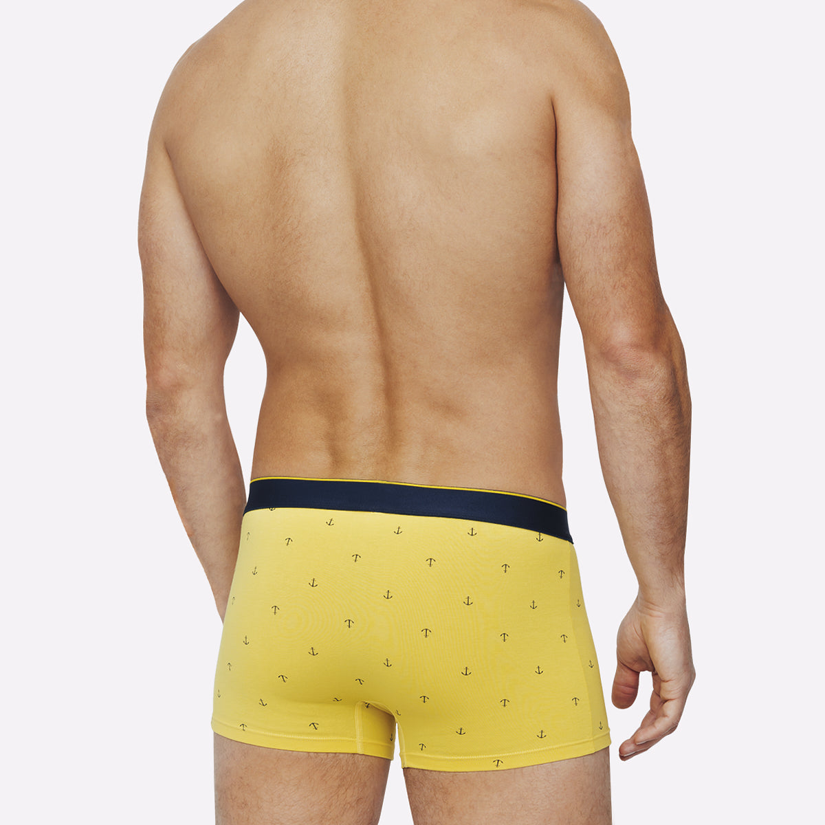 s/files/1/0779/5290/9647/files/0LV29_2510_S8.jpg?v=1748450160