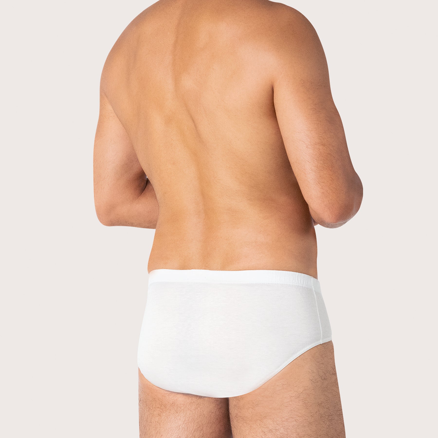 Slip taille haute fermée Coton d'Egypte Eminence