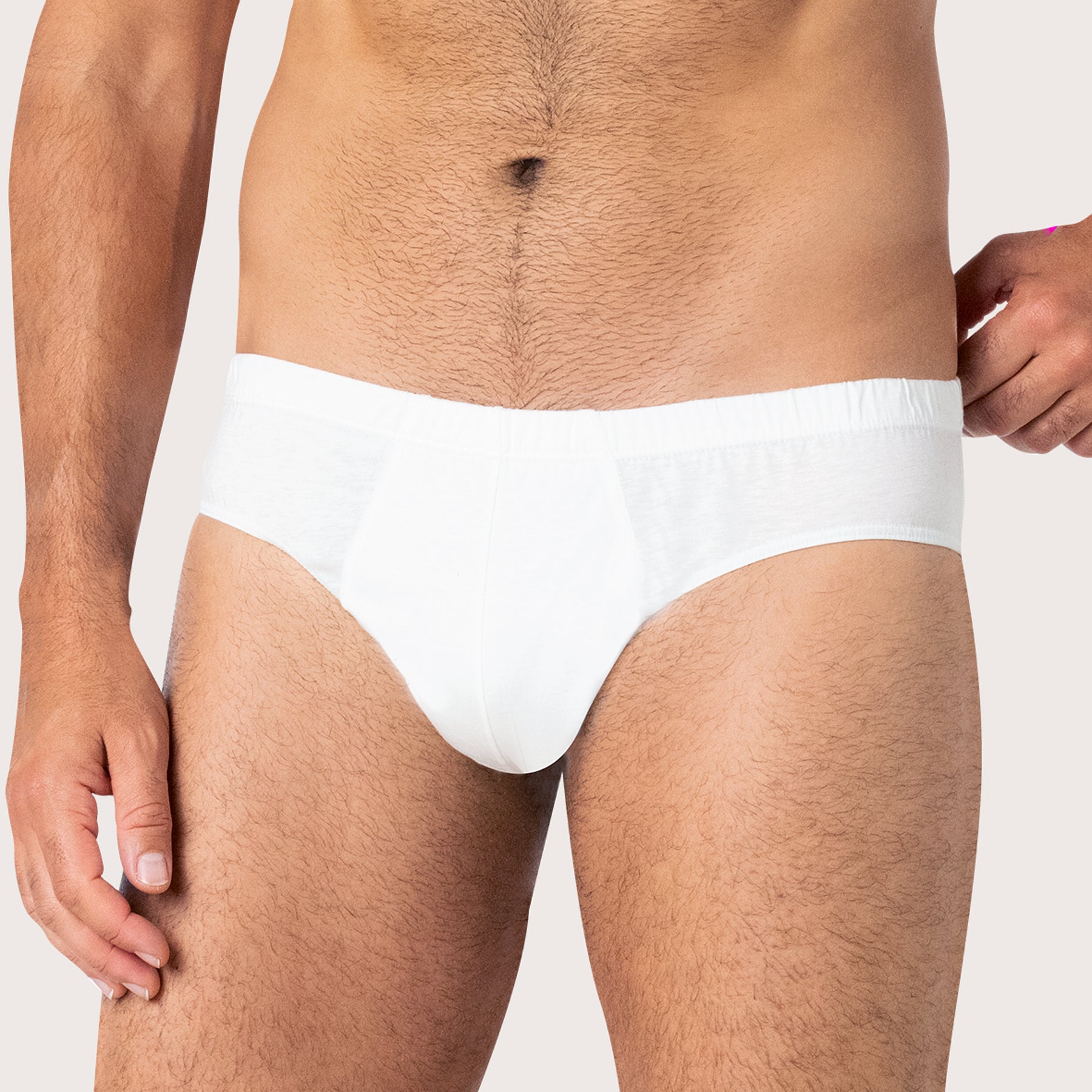 Slip taille basse Coton d'Egypte Eminence